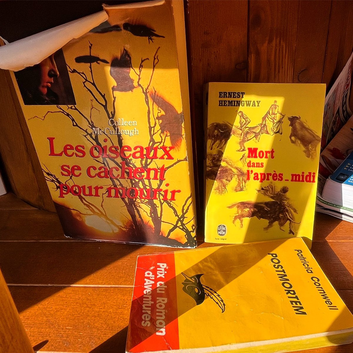 La question se pose : le jaune serait-il la couleur de la mort ? 🤪☠️
La réponse est peut-être sur les étagères de la boîte à livres 😊📚 
Bonne journée à tout le monde et surtout, belles lectures !
#Arras #boîteàlivres #jaune #mort #lecture #livres