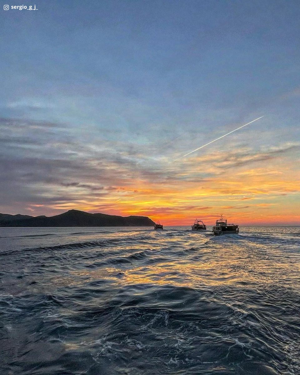 Today we pay a small tribute to the fishermen of Roses, who go out to sea every morning to bring us the best fish and seafood 🧡

Happy Wednesday! ⚓

📸 (Ig) @sergio_g_j_ - Moltes gràcies! 😍

@costabrava @badiaderoses @catexperience @redcostabrava @empordalovers