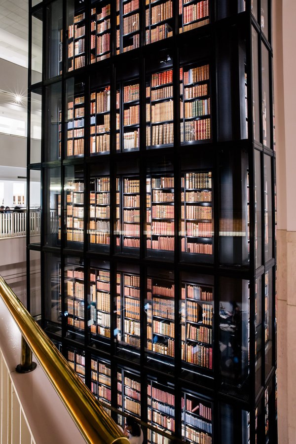 The library is dangerous –
Don’t go in. If you do

You know what will happen.
It’s like a pet store or a bakery –

Every single time you’ll come out of there
Holding something in your arms.

— Don't Go into the Library, Alberto Ríos 📚