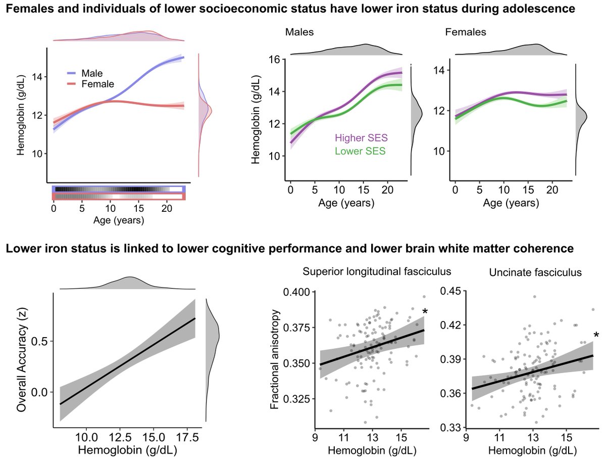 Bart Larsen (@bart_larsen) on Twitter photo ๐กNEW PAPER๐ก
Iron status markers change during youth and are linked with executive function and brain white matter. Our new work in <a href="/AJCNutrition/">American Journal of Clinical Nutrition</a> highlights the importance of looking at iron status during the critical period of adolescence! ๐งต authors.elsevier.com/a/1h6UmgSEMBRN ๐กNEW PAPER๐ก
Iron status markers change during youth and are linked with executive function and brain white matter. Our new work in <a href="/AJCNutrition/">American Journal of Clinical Nutrition</a> highlights the importance of looking at iron status during the critical period of adolescence! ๐งต authors.elsevier.com/a/1h6UmgSEMBRN