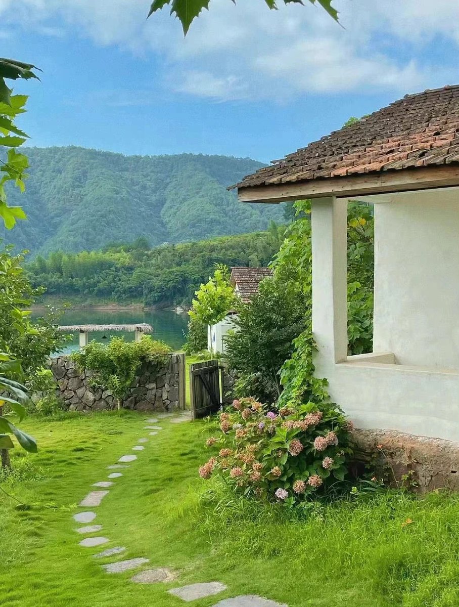 colangeloTest's tweet image. 