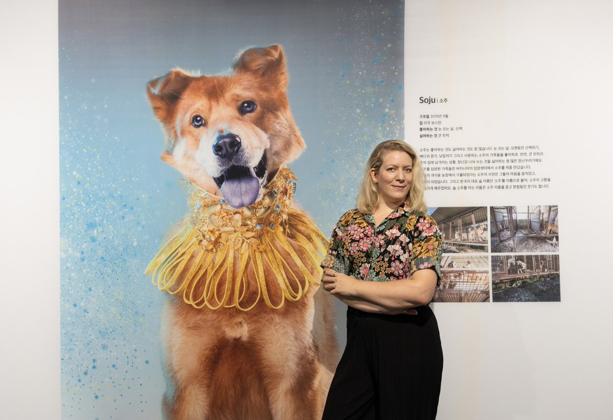 Our exhibit “Beyond Prejudice” runs until Thursday June 1st, 4pm in Seoul’s Metro Art Center 🙌 Here I am with a larger-than-life print of my portrait of Soju, one of the dog meat trade rescues who are featured in the exhibit. A project by <a href="/HSIGlobal/">超级Z.Y.N 发明家 V2</a> ✨