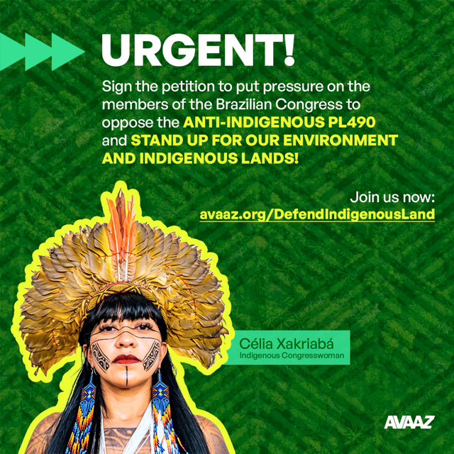 MarkRuffalo's tweet photo. Please join me in supporting Brazilian Indigenous leader @celiaxakriaba who is asking fellow Brazilian Congress members to oppose the anti-Indigenous bill PL490. The key vote is tomorrow; please consider signing her petition: https://t.co/uV6izzAca4 https://t.co/pcCpxDfAGV