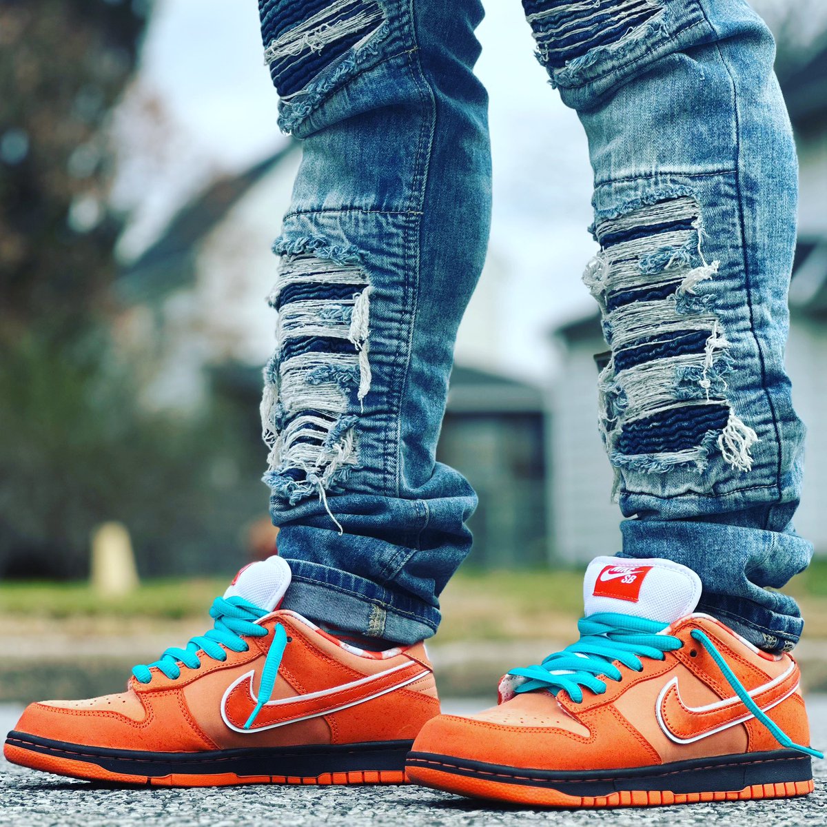 Day 30 of 31 days of wearing Dunks: #Concepts x #NikeSB Dunk Low OG QS “Orange Lobster”. Got really lucky winning these.

#SNKRS #Sneakers #Kicks #WDYWT #WOMFT #YourSneakersAreDope #WearYourSneakers #WearYourKicks #KOTD #SNKRSLiveHeatingUp #Nike #Sneakerhead #AtmosCollectorsClub