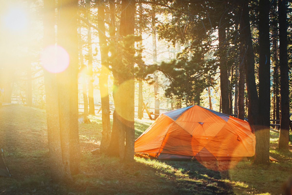 In this Q&A, @UBCForestry PhD candidate and BC Registered Professional Forester Ira Sutherland shares tips on respecting and caring for the forests while camping.

#CampingTips 🏕️ 

Read more: bit.ly/3Ig2Sof
