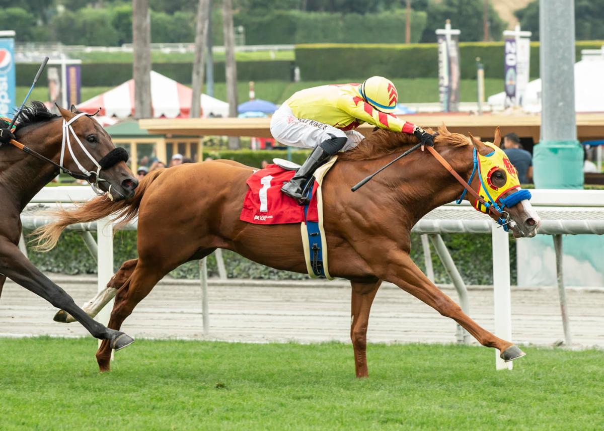 Gate_To_Wire's tweet photo. https://t.co/rMvHoTsGQo
Old Pal captures the Snow Chief Stake at Santa Anita!
https://t.co/xqUHAGZ5G0 https://t.co/X9qXgWgXyp