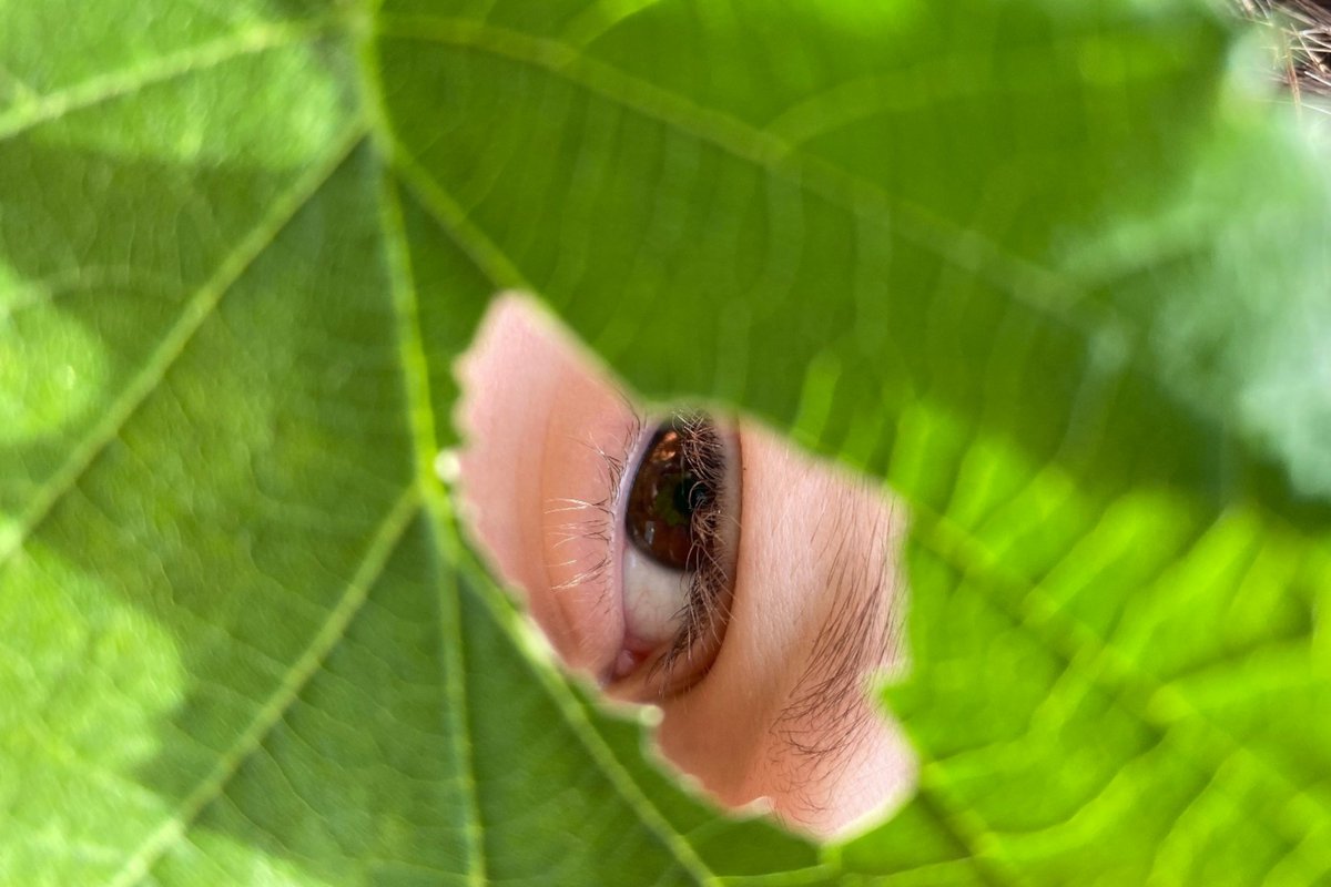 Oggi al MAMbo si è svolta la #visitaguidata "Artivismo" per scoprire le opere che hanno connessioni con i temi della sostenibilità e che rivelano come gli artisti siano sensibili nei confronti dei cambiamenti climatici, sociali, ambientali. #PatrimonioMW #HeritageMW <a href="/mambobologna/">MAMbo</a>