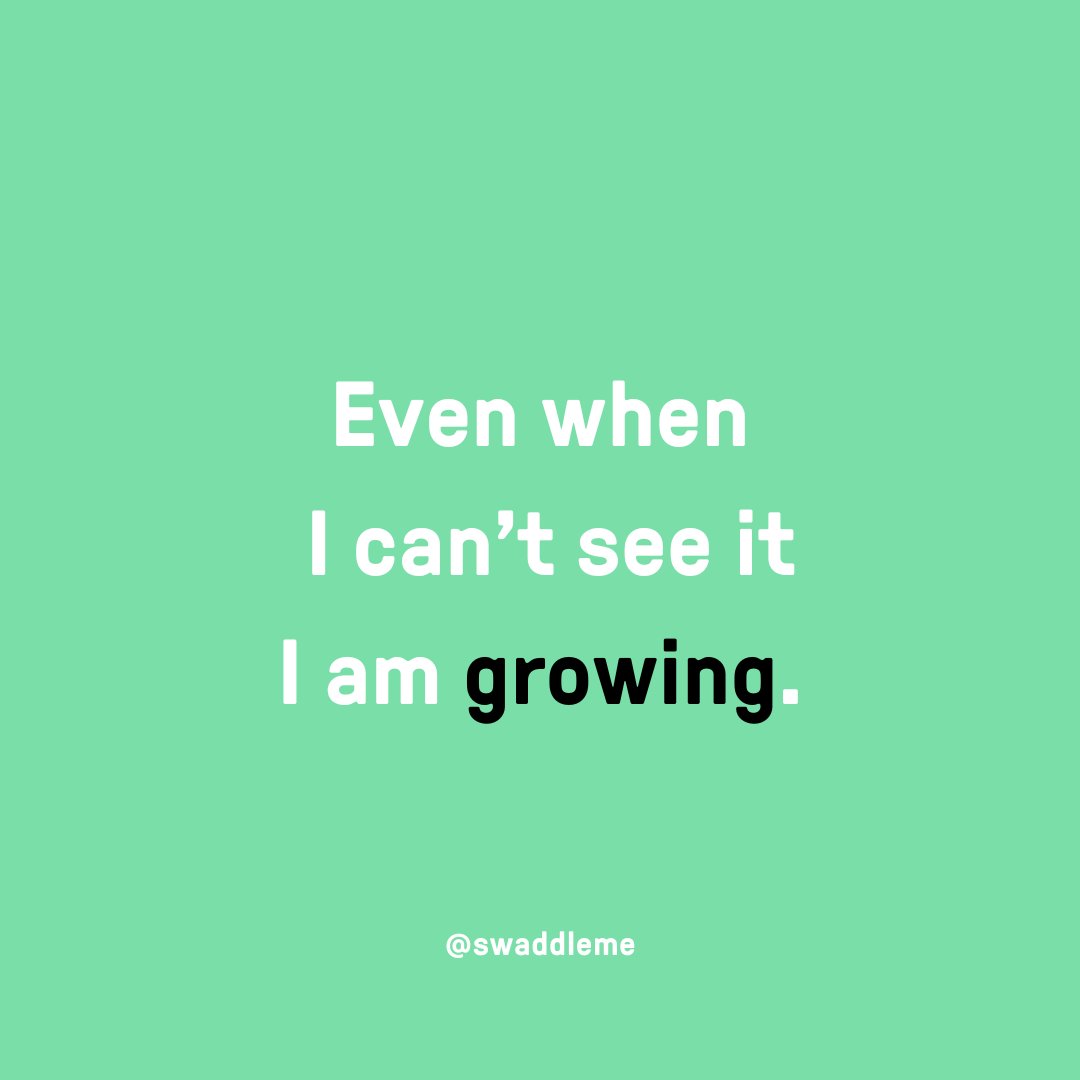 SwaddleMe™ by Ingenuity™ tweet media