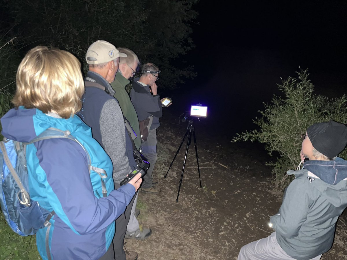 JordanPargeter's tweet photo. Bank holiday spent bat surveying with plenty of ringing, including my first experience of ringing pulli. 

All ringed under license.

#ecology #ornithology #birding https://t.co/6XR4XiakuM