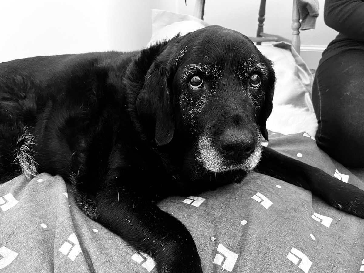 Trance Classics tweet media