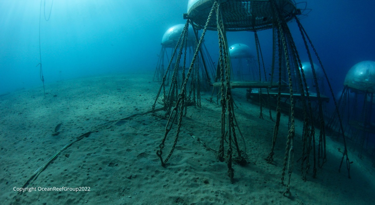 ROVplanet's tweet photo. Novacavi Supplies Lan Cable for Underwater Farming @NemosGarden  #Novacavi #subsea #underwater #farmingtechnology #Italy
https://t.co/nJ0TquQuZL https://t.co/UDBX7PcmkJ