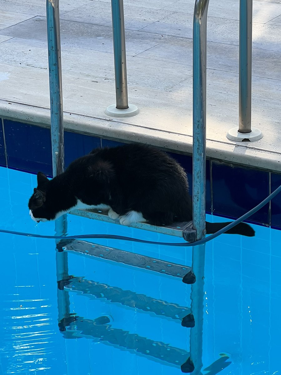 “Benim mamam kuru, artık siz düşünün” dedi ve havuz sezonunu açtı! <a href="/polarde/">pinar denizer🌈</a>