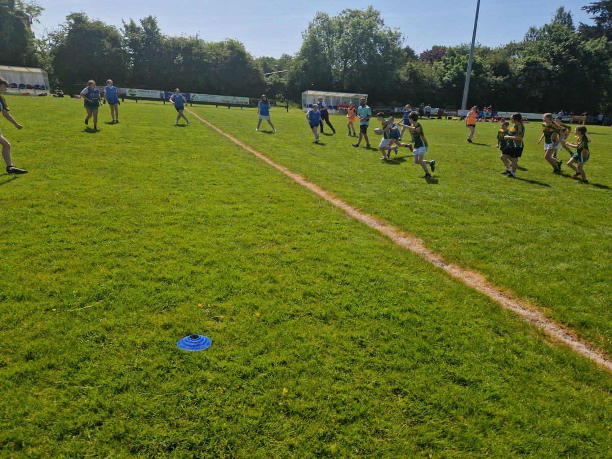Ardee Rugby CCRO tweet media