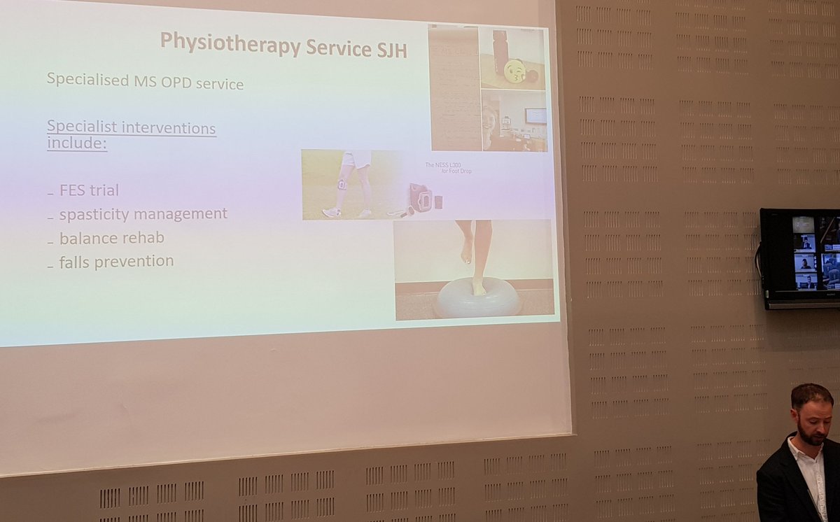 Excited to be in Leinster House today with colleagues from @stjamesdublin on #WorldMSDay for the @MSIRELAND pre budget submission looking to inc funding for national #physio services & for respite services. Excellent presentations from @hugh_kearney @susancoote @NaomiD12