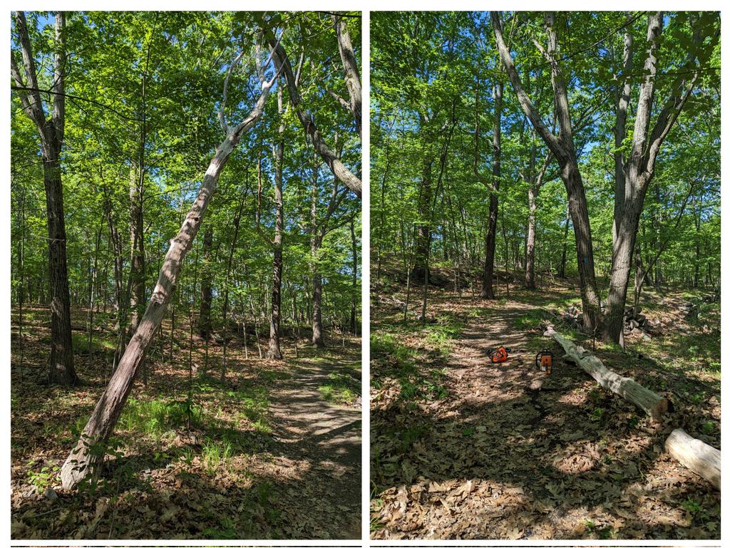 Brian of the Green Hill Park Coalition and Colin of the <a href="/GWLandTrust/">GWLT</a> were out this morning on the East Side Trail in Green Hill Park taking out a massive felled White oak and a widow maker!
#Worcester #HikeWorcester #EastSideTrail <a href="/TweetWorcester/">City of Worcester</a>