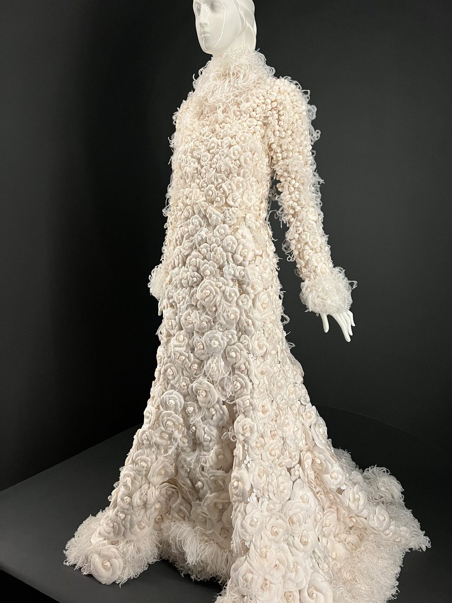 cindy wood tweet media