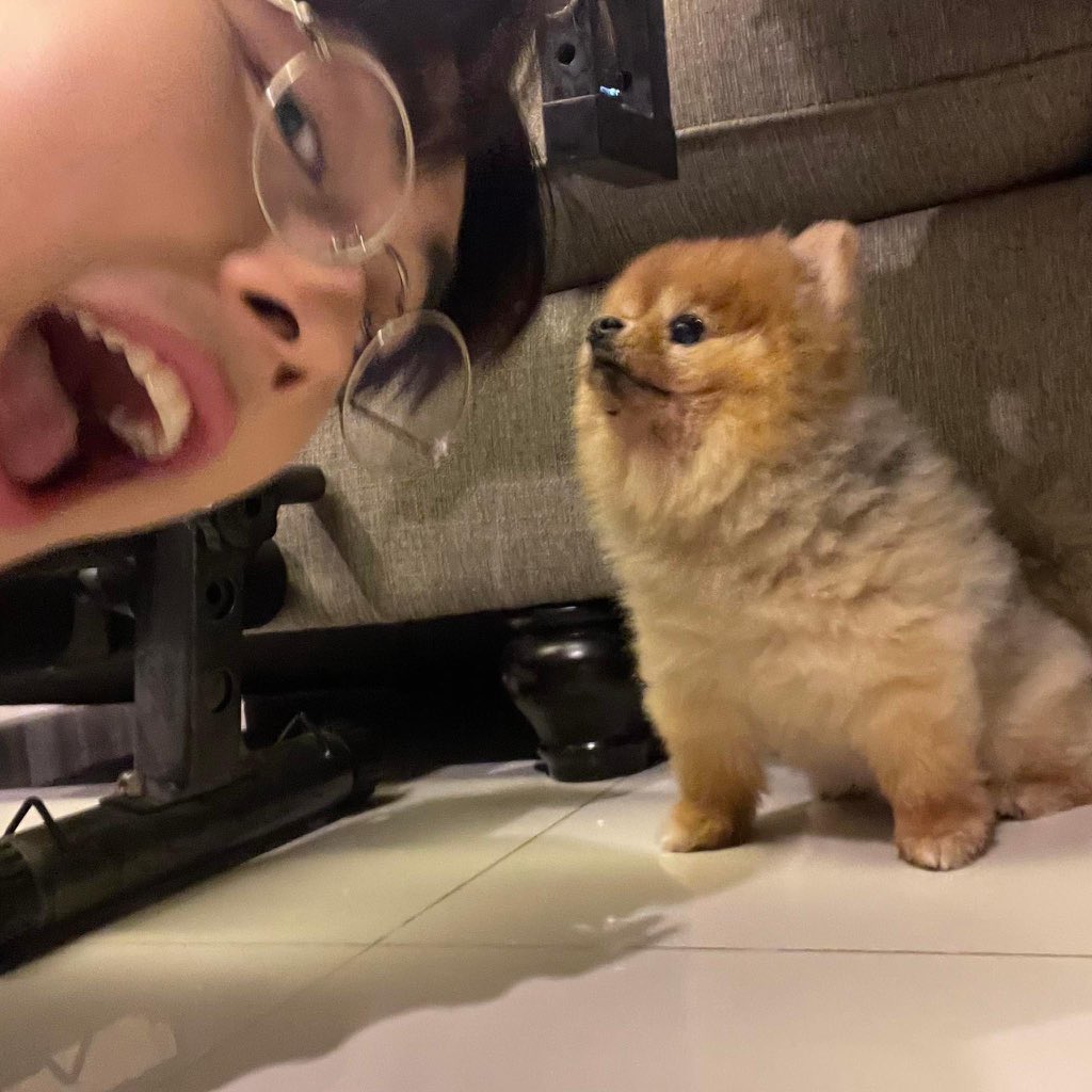 yourgorn's tweet photo. กรมาเปลี่ยนรูปโปรไฟล์เฟสคู่กับน้องดูดี้ด้วย น่าย้าก 🥺 น้อนม๋าสองตัวนิิิ คิดถึงม้าก เดาว่าเป็นน้องดูดี้เพราะน้องไม่กระโดดกัดหัวพี่กร 555555555555555555555 https://t.co/sgwi4BLhBE