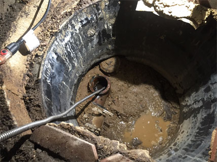 Uncle John's Band tweet media