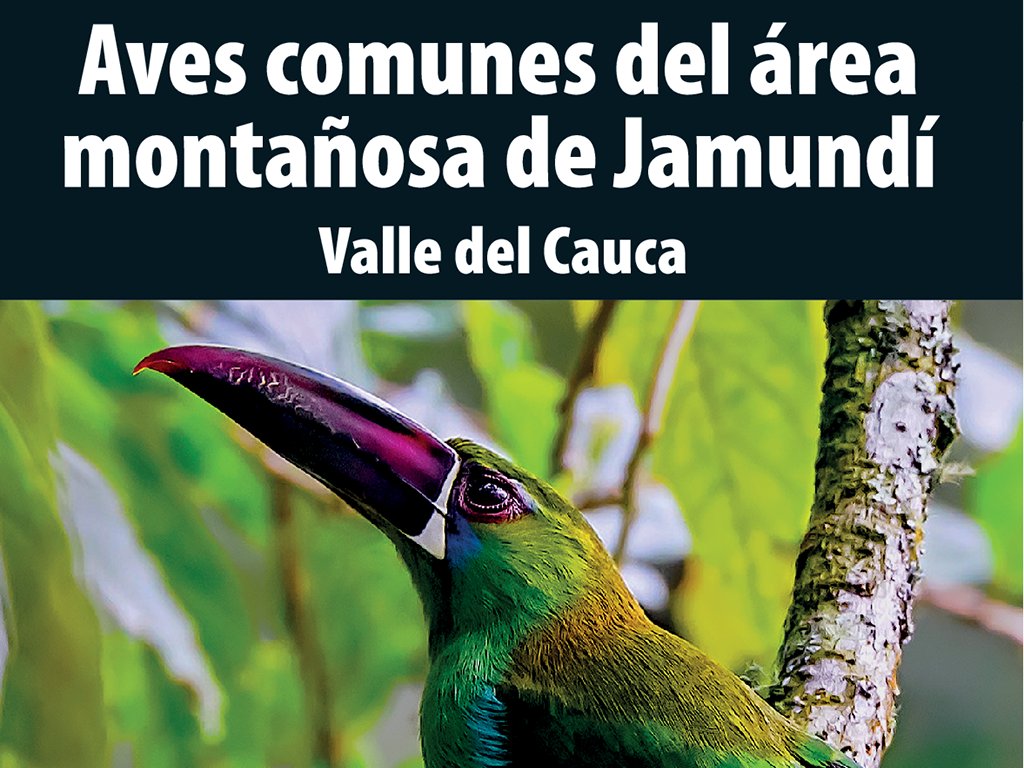 Asociación Calidris tweet media