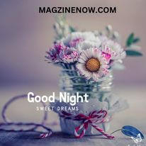 #magzinenow #goodnight #night #nightvibes #nightthoughts #niceday #summer