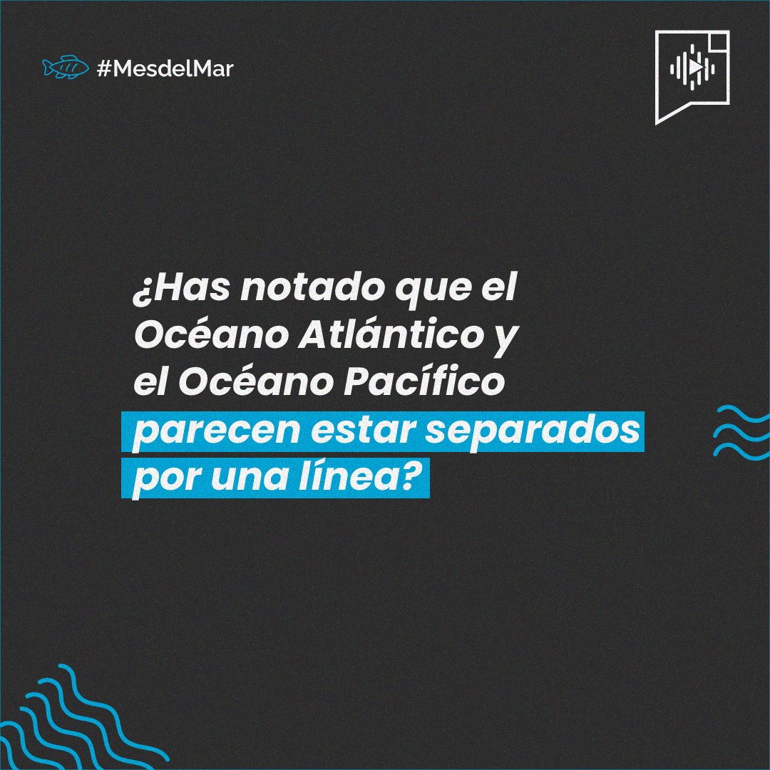 CaletaDigital's tweet photo. #MesdelMar | En el Golfo de Alaska 🧊 parece que los #Océanos #Pacífico y #Atlántico no se mezclaran ↔️ ¿La razón? #Eddies

Torbellinos de agua de 100km de diámetro que acarrean sedimentos glaciares y arcilla 🧱

#CaletaDigital #SomosCaleta #fenomenonatural #sabiasque #curiosidad https://t.co/aAM1oFvPeM