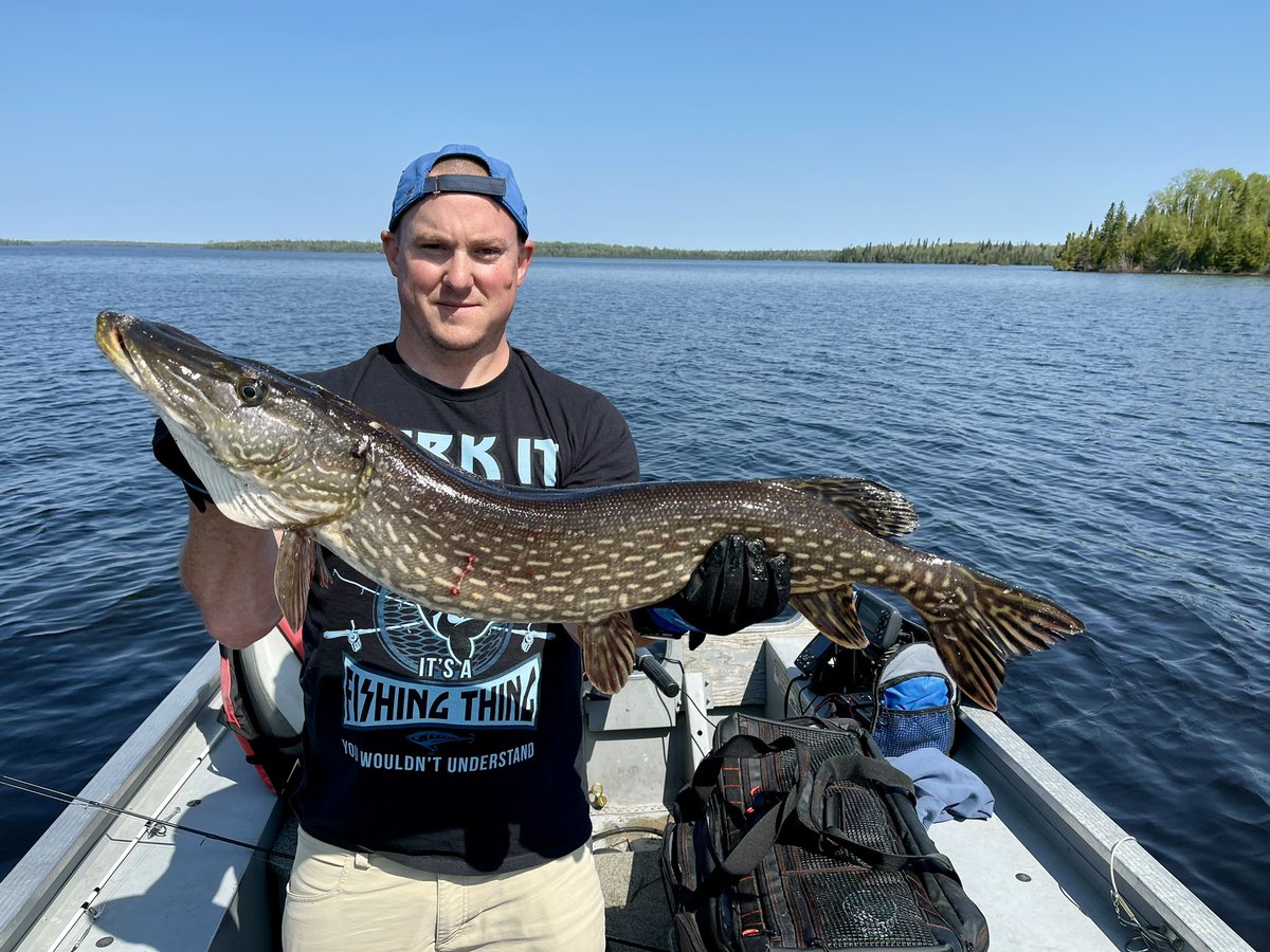 #NorthernPike #OntarioMonster