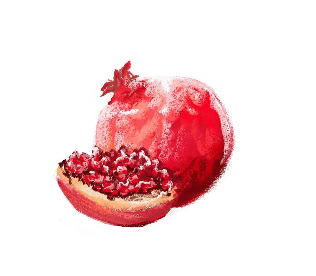 Tw pomegranate 

Pom practice since it’s been a hot minute since I’ve drawn anything