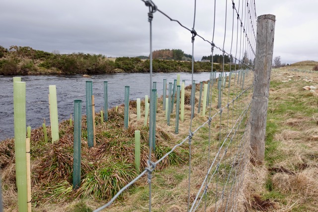 FilmingScotland's tweet image. We've planted trees!

With our friends at Carbon Aware, we've planted trees along the river in the Kyle of Sutherland catchment zone.

As a carbon aware company, three things to bear in mind when prepping a shoot are Measuring, Reducing, and Planting!

carbonawareproductions.com