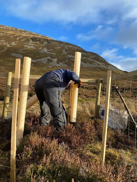 FilmingScotland's tweet image. We've planted trees!

With our friends at Carbon Aware, we've planted trees along the river in the Kyle of Sutherland catchment zone.

As a carbon aware company, three things to bear in mind when prepping a shoot are Measuring, Reducing, and Planting!

carbonawareproductions.com