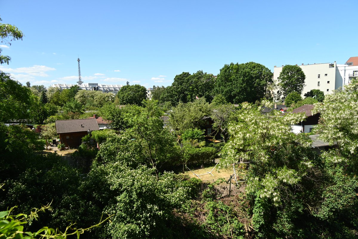 NiccoloTribolo's tweet photo. Ein wunderbares Himmelblau am sommerlichen #Westkreuz in #Berlin. Die blühenden #Robinien duften wunderbar. https://t.co/2ClFWIKLB9