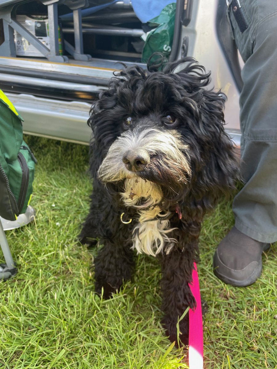 On Sunday ourselves and <a href="/MPSBeddingtnSth/">Beddington South</a> attended the local Tamil Sports Day on the Roundshaw Playing Fields. It was a fantastically organised event and it was a privilege to attend and be able to speak to everyone. Including a 6 month old  cockapoo training to be a welfare dog!