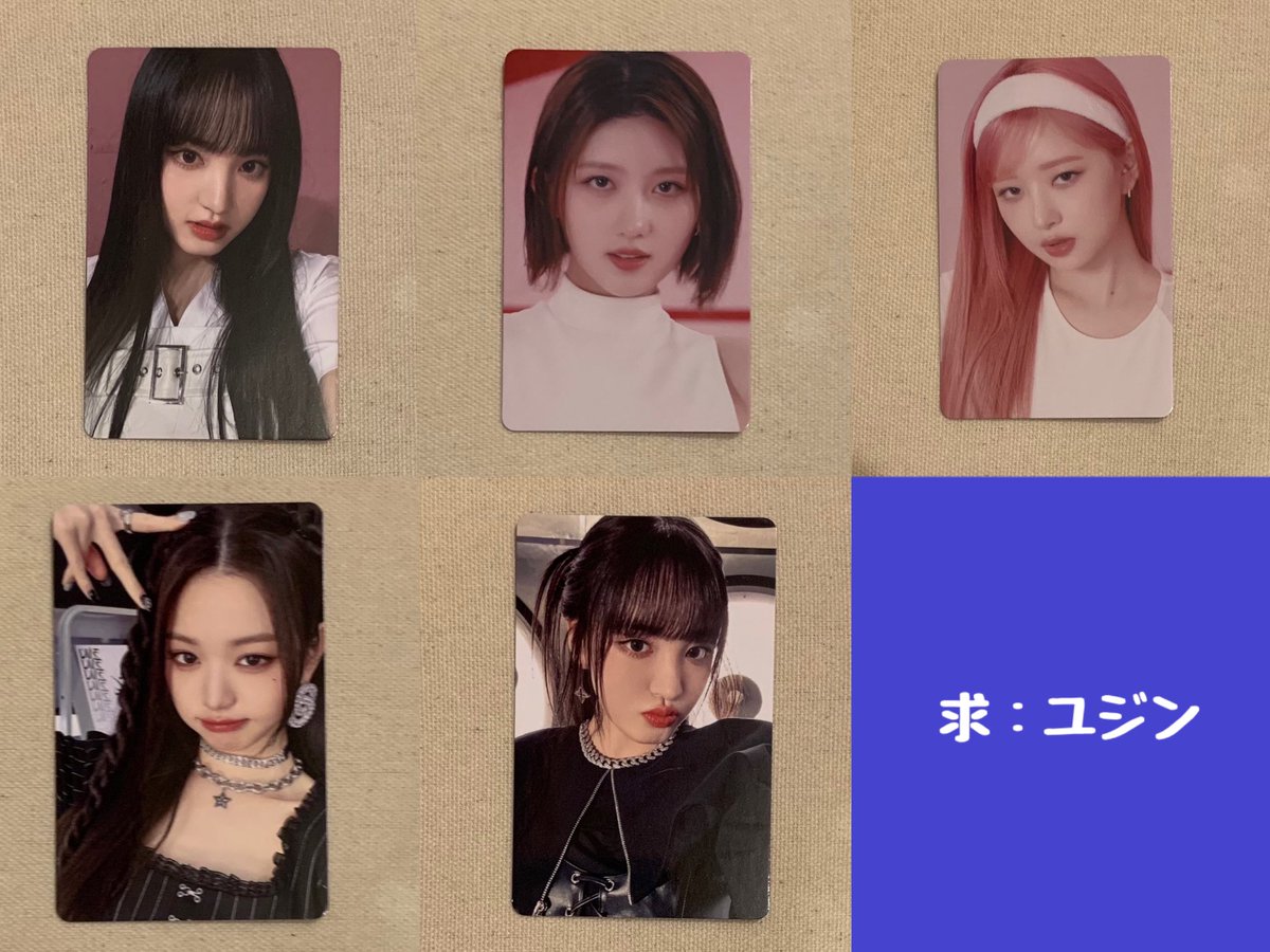 IZONE_ryokucha's tweet photo. 🐶交換🐶 IVE

　求 ▶︎ ユジン
　譲 ▶︎ イソ・リズ・レイ・ウォニョン・ガウル

お気軽にお声がけください🙌
✅は所持しているため、それ以外との交換が優先です。CD交換も可能な方がいらっしゃいましたらよろしくお願いいたします。

※郵送交換希望です。 https://t.co/ViuZ9vC9ro