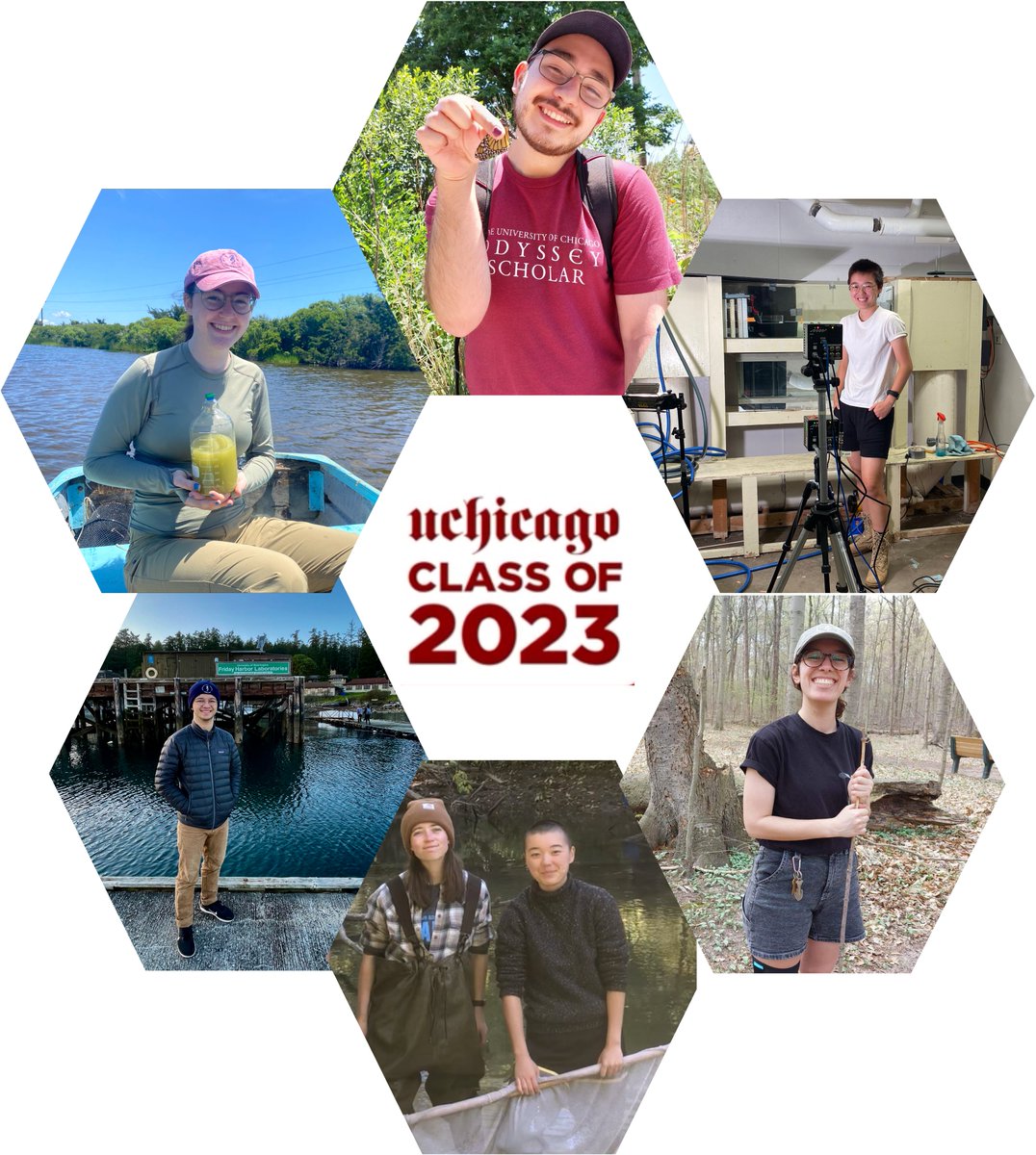 Catherine Pfister tweet media