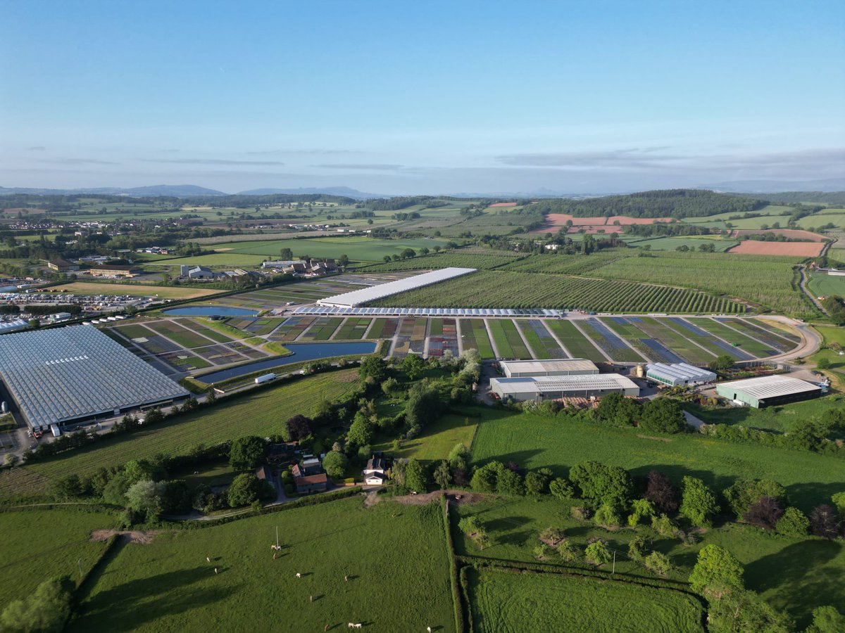 Allensmore Nurseries tweet media