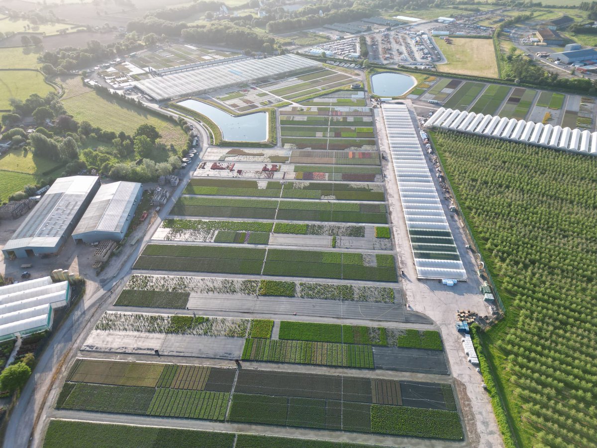 Allensmore Nurseries tweet media