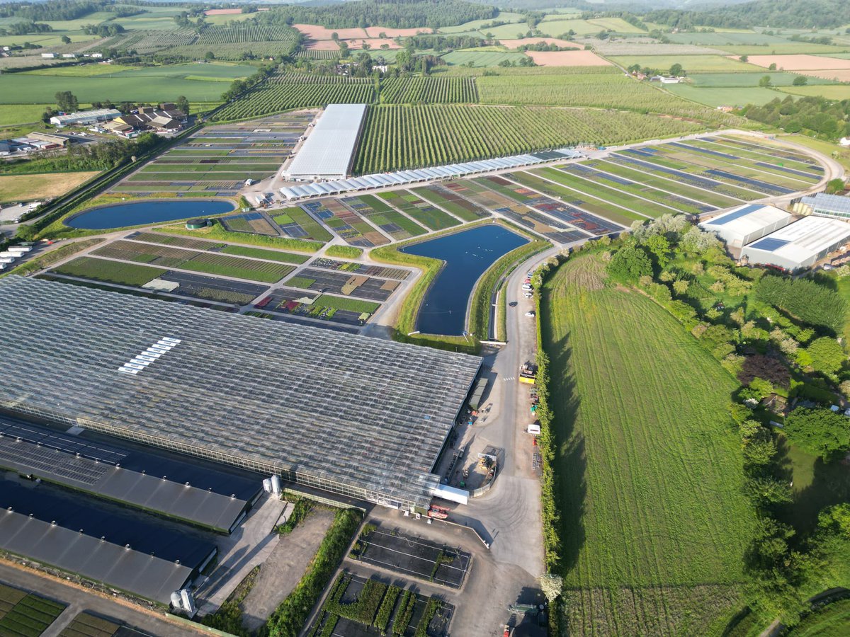 Allensmore Nurseries tweet media