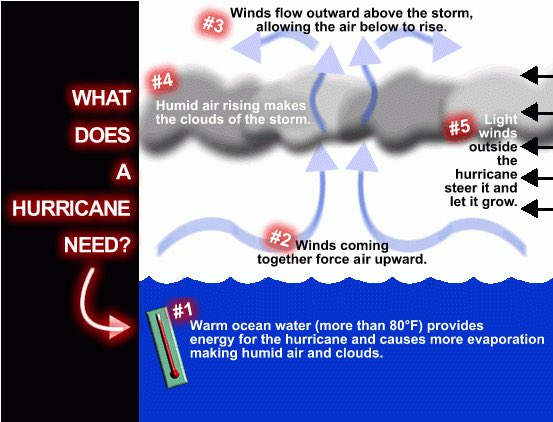 There are certain weather conditions that it takes for a hurricane to develop. Let’s take a look at what the weather needs to look like.  

weather.gov/source/zhu/ZHU…
 
#alwaysprepared  #hurricaneprep