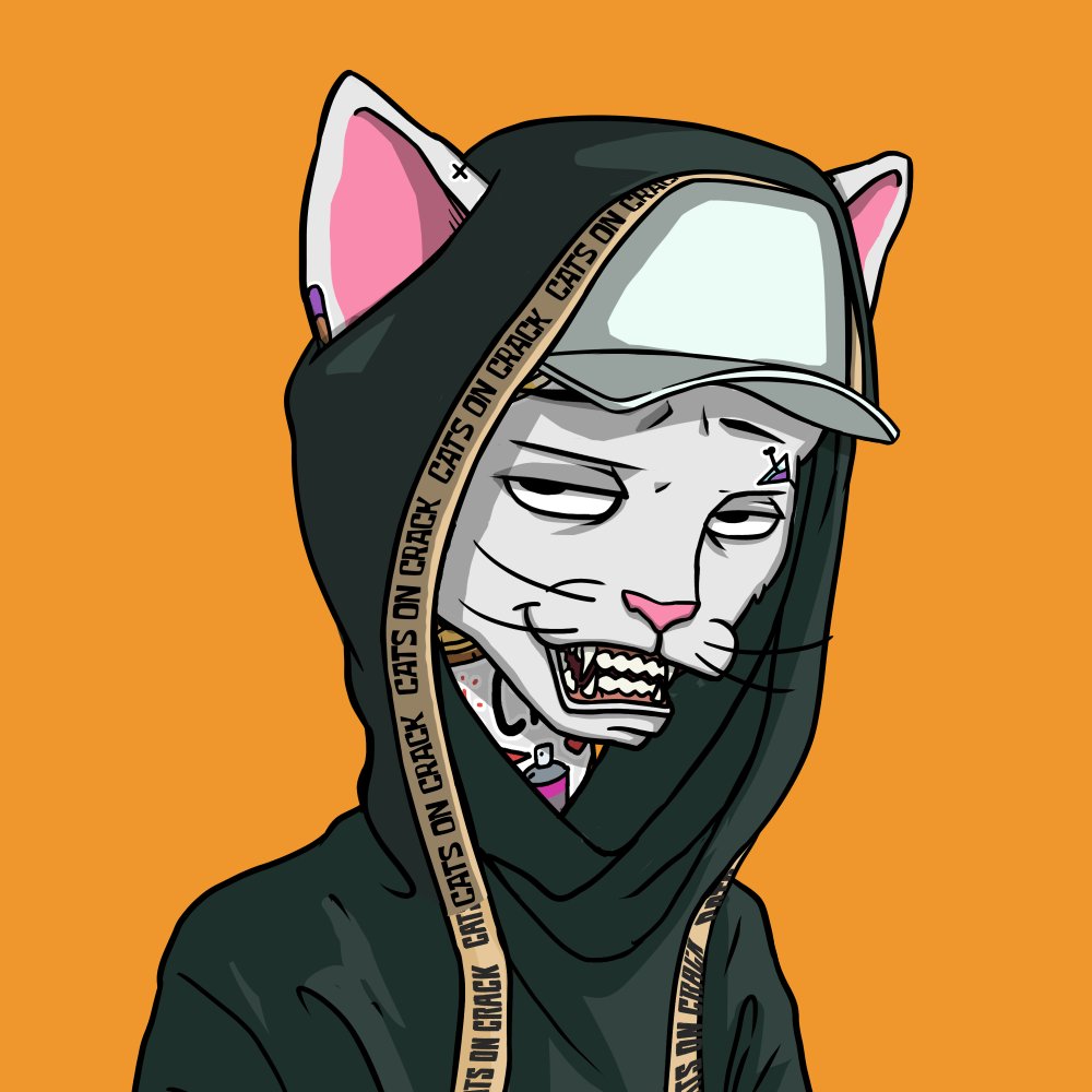 iamcetman's tweet image. i need a nickname for this mfer 🗣️

#coolshit #nickname #content
@CetsNFT @Cetcave @CreckCafe