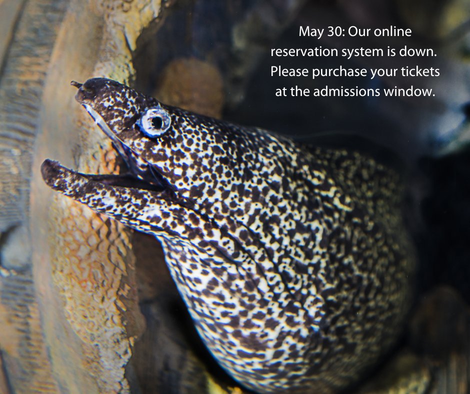 MAY 30: 
Our online reservation system is down. Please purchase your tickets on-site at the admissions window.
We cannot make reservations over the phone.
We apologize for the inconvenience.