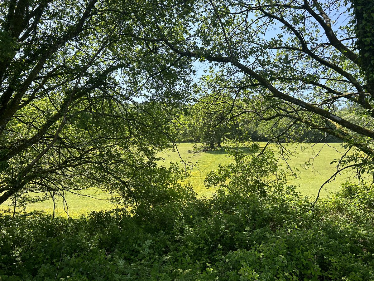 Kathryn Howard (@kathrynhowpharm) on Twitter photo So lucky to have this view on my lunchtime walk <a href="/CwmTafMorgannwg/">Cwm Taf Morgannwg University Health Board</a> getting my steps in for the Big Team Challenge 😊 So lucky to have this view on my lunchtime walk <a href="/CwmTafMorgannwg/">Cwm Taf Morgannwg University Health Board</a> getting my steps in for the Big Team Challenge 😊