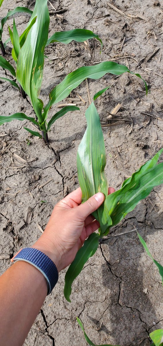 Dan Quinn tweet media