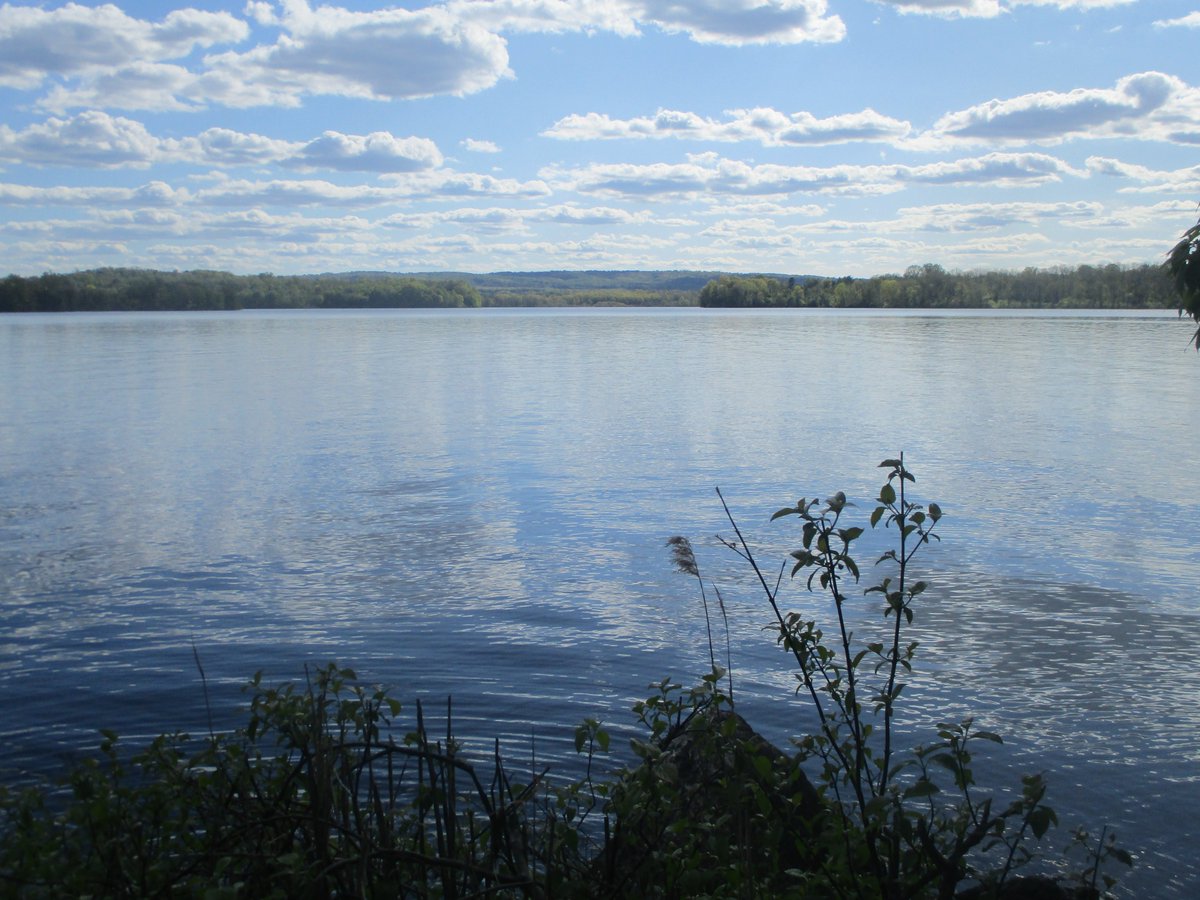 JessicaLauryn_'s tweet image. Almost-Summer Beauty 🌊 #naturephotography #spring2023