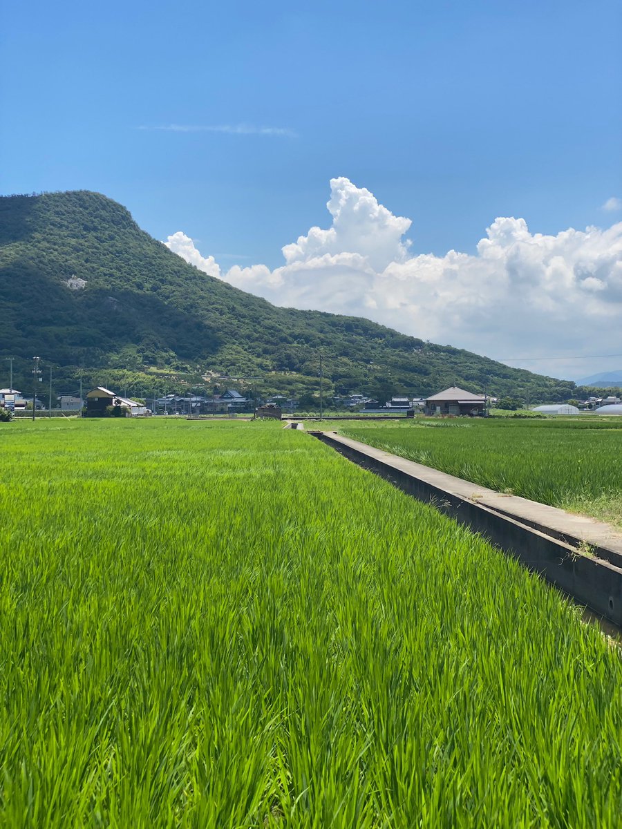 natsumi doi tweet media