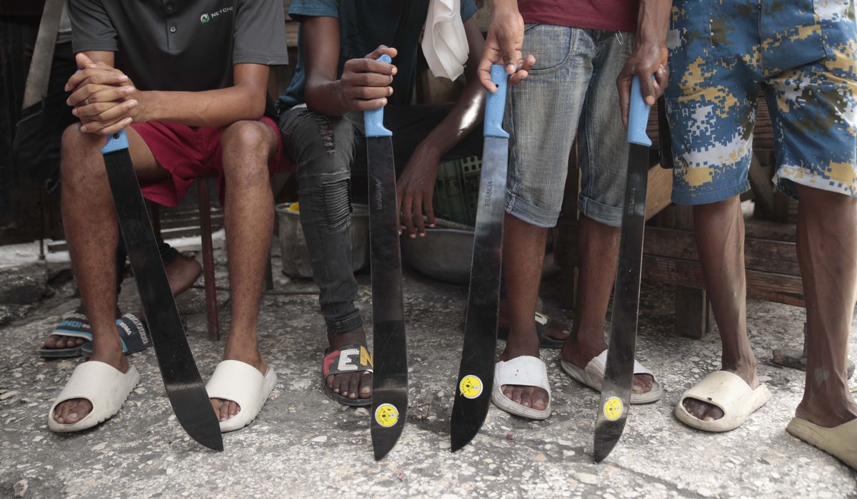 Haitian vigilantes kill 160 gang members, halt kidnappings in past month: Report

trib.al/KBqZ6mM