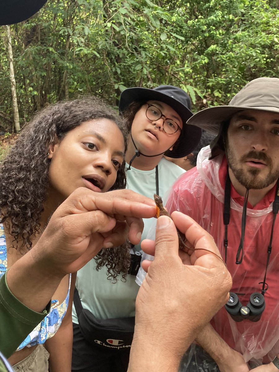 Dr. Scott Benjamin tweet media