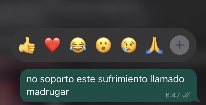 Yo todas las mañanas: