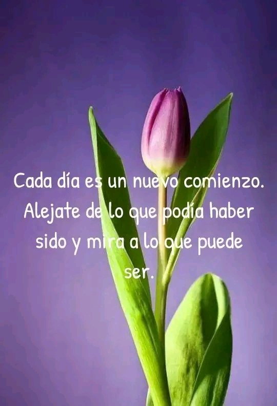 Iralisail. Carballo (@iralisailc) on Twitter photo #RenacimientoDelSur
  <a href="/IralisailC/">Iralisail. Carballo</a> <a href="/ApureHumana/">GESTION HUMANA INIA APURE</a> <a href="/Aolivero2002/">Aiskel Olivero</a> <a href="/jesus372333/">mildre</a> <a href="/EGMorenoR/">Esio Moreno</a> <a href="/Evangel08625120/">🌹Evangelina🌹💞💫💯</a> <a href="/ErikOliver2002/">Erika Olivero</a>  <a href="/twiteroejido/">💯🐦💪juan carlos🇻🇪🥇🐦💯</a>  @nanunsc2 <a href="/Mippcivzla/">MIPPCI</a> <a href="/MirnaGiralit/">Mirna Giralit Olivero</a> <a href="/JhosepTaipan/">@TaipanJhosep</a> <a href="/rosales69/">Edgar.A.R.R</a> <a href="/YarytzaR6/">Yarytza</a> <a href="/magopuki/">Manclar</a> <a href="/TrejoNelvis/">Nelvis</a> <a href="/Nelsontrejo92/">Nelson Trejo</a> <a href="/yoibelin1/">yoibelin</a> 
<a href="/thania81205760/">thania</a> #RenacimientoDelSur
  <a href="/IralisailC/">Iralisail. Carballo</a> <a href="/ApureHumana/">GESTION HUMANA INIA APURE</a> <a href="/Aolivero2002/">Aiskel Olivero</a> <a href="/jesus372333/">mildre</a> <a href="/EGMorenoR/">Esio Moreno</a> <a href="/Evangel08625120/">🌹Evangelina🌹💞💫💯</a> <a href="/ErikOliver2002/">Erika Olivero</a>  <a href="/twiteroejido/">💯🐦💪juan carlos🇻🇪🥇🐦💯</a>  @nanunsc2 <a href="/Mippcivzla/">MIPPCI</a> <a href="/MirnaGiralit/">Mirna Giralit Olivero</a> <a href="/JhosepTaipan/">@TaipanJhosep</a> <a href="/rosales69/">Edgar.A.R.R</a> <a href="/YarytzaR6/">Yarytza</a> <a href="/magopuki/">Manclar</a> <a href="/TrejoNelvis/">Nelvis</a> <a href="/Nelsontrejo92/">Nelson Trejo</a> <a href="/yoibelin1/">yoibelin</a> 
<a href="/thania81205760/">thania</a>