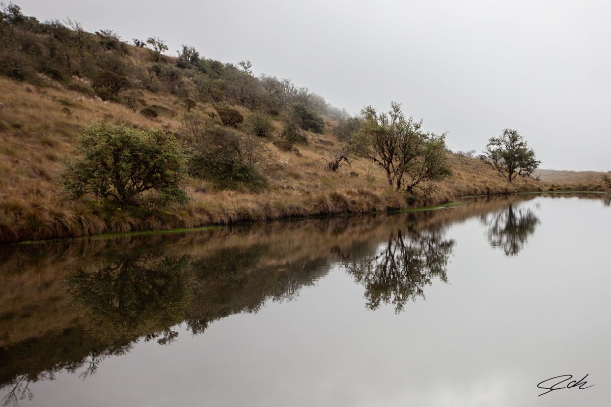 MANU NATIONAL PARK
PERÚ
#nature #sunrise #NaturePhotography #NFT #NFTs #peru #mountain #travel #travelphoto