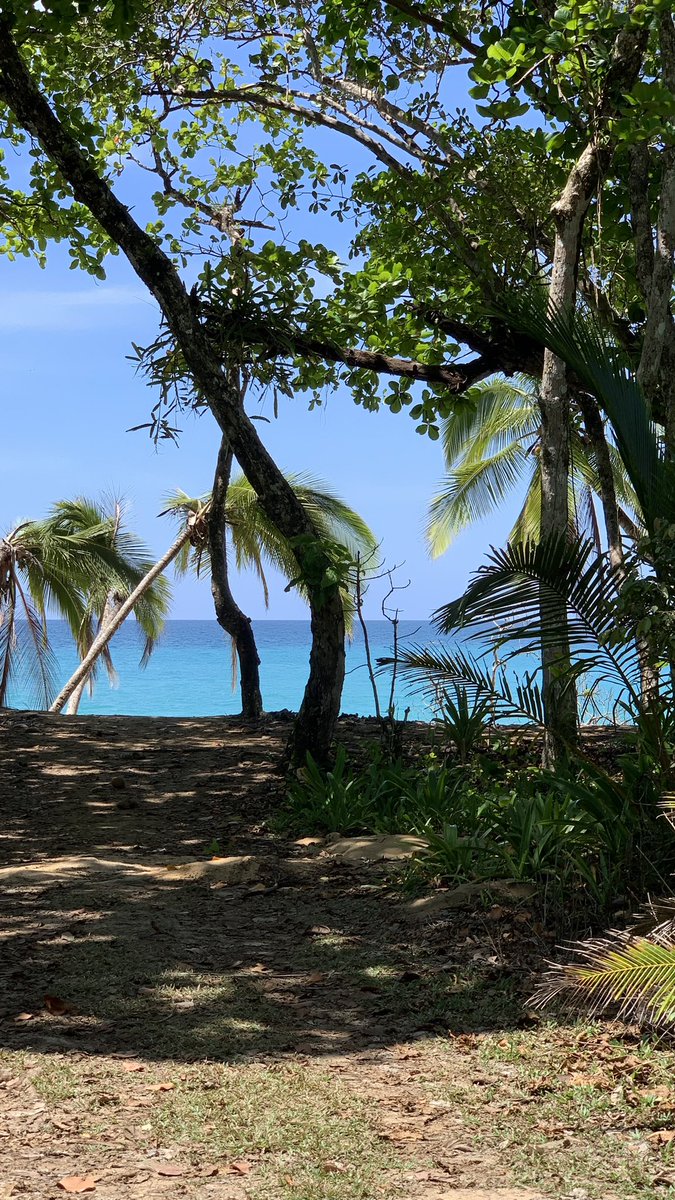 Stargalaxy007's tweet photo. So unterschiedlich kann es hier sein. Gestern Vormittag noch paradiesisch, nachmittags die Apokalypse. Aber egal welches Wetter, das Bier schmeckt immer gleich gut. 🍻🤩 https://t.co/q8KxNz4b3Y