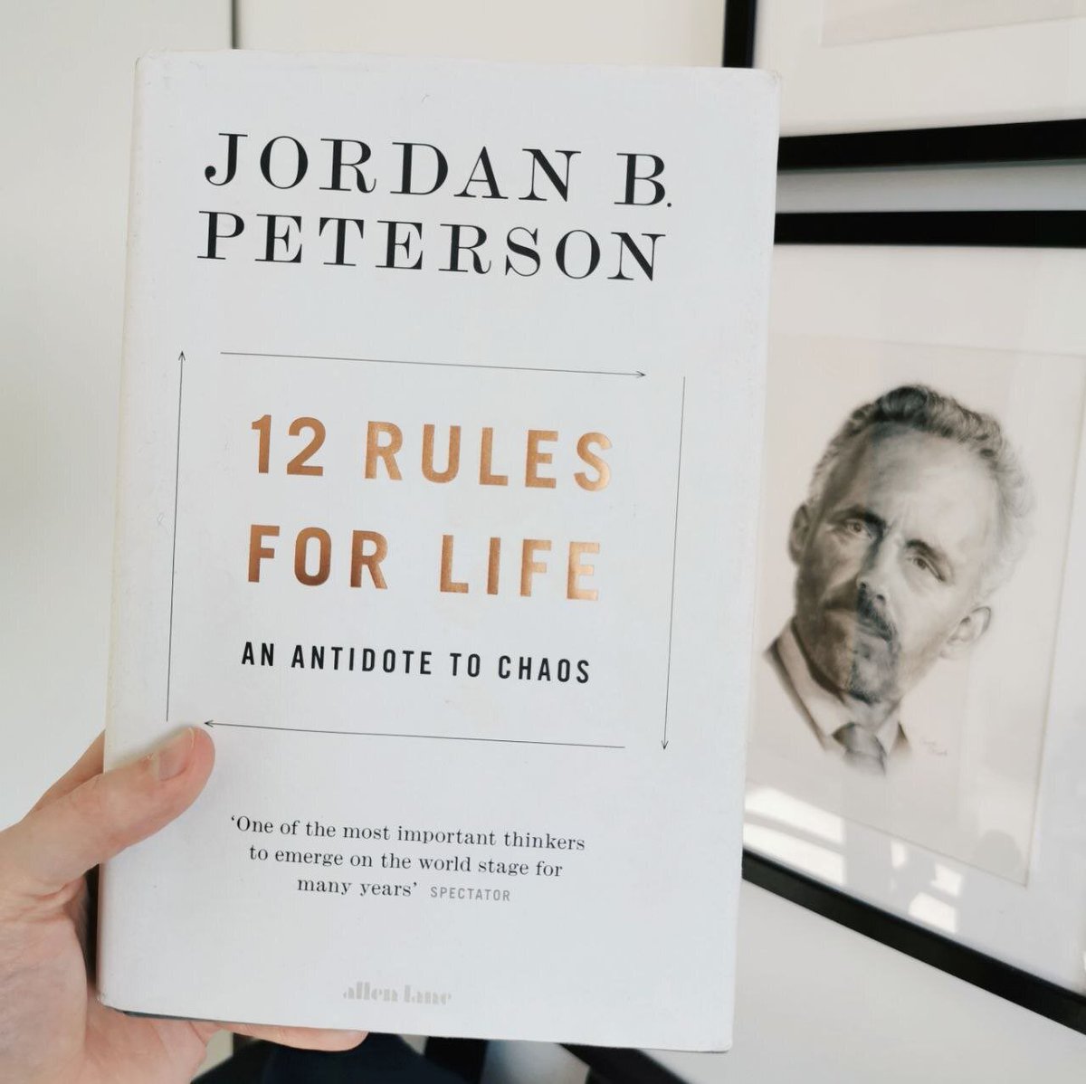 10 Top Lessons from Jordan Peterson's Book 12 Rules for Life: